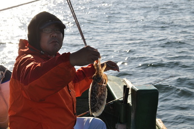 根岸丸 釣果