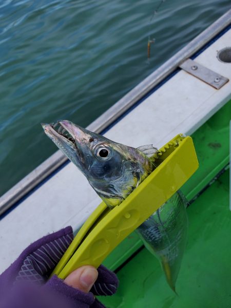 激渋でも結果を出すスラッシュビートシリーズ　【メガバス（Megabass）スラッシュビートシリーズ　インプレッション】