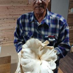 フィッシングガイド りょう 釣果