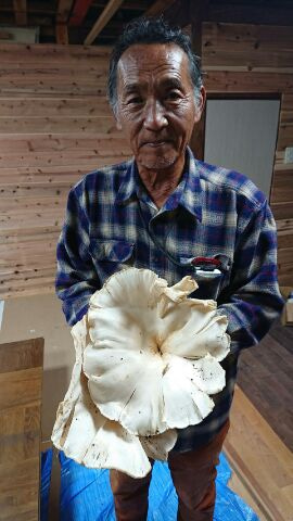 フィッシングガイド りょう 釣果