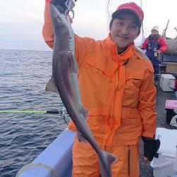 小樽港遊漁船SHAKE 釣果