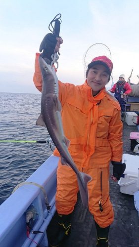 小樽港遊漁船SHAKE 釣果