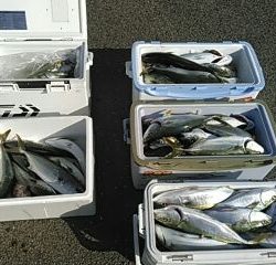 フィッシングガイド りょう 釣果