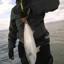 フィッシングガイド りょう 釣果