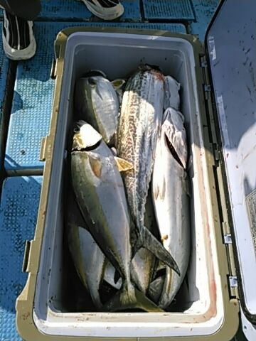 フィッシングガイド りょう 釣果