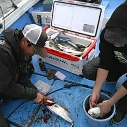 フィッシングガイド りょう 釣果