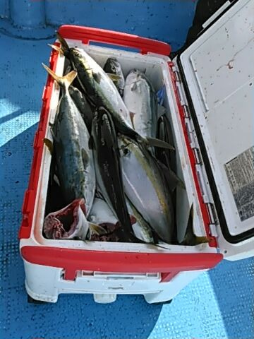 フィッシングガイド りょう 釣果