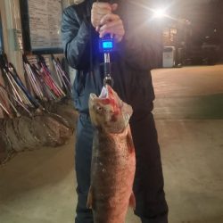 としまえんフィッシングエリア 釣果