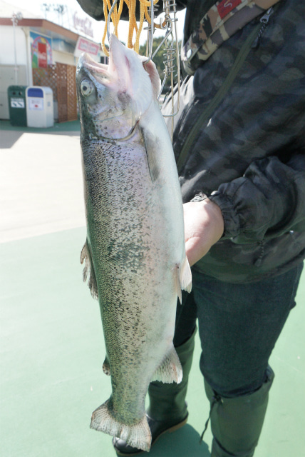 としまえんフィッシングエリア 釣果