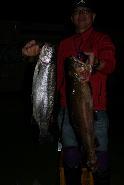 としまえんフィッシングエリア 釣果