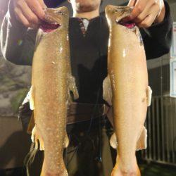 としまえんフィッシングエリア 釣果