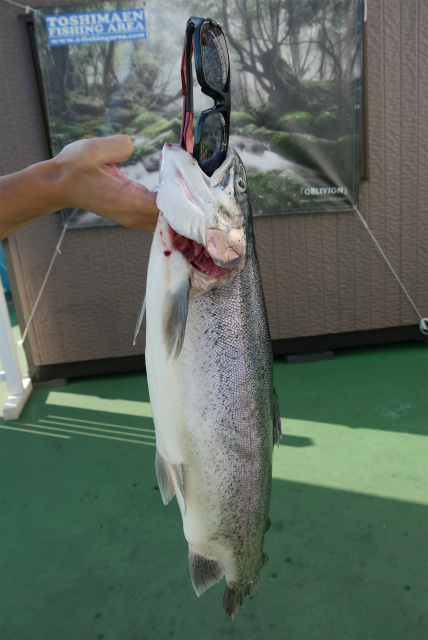 としまえんフィッシングエリア 釣果