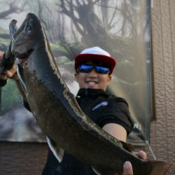 としまえんフィッシングエリア 釣果