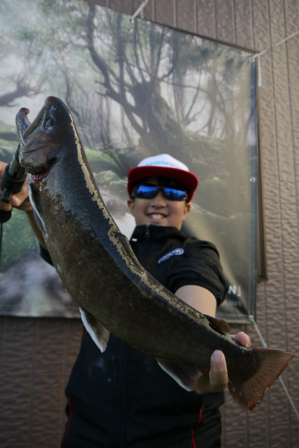 としまえんフィッシングエリア 釣果