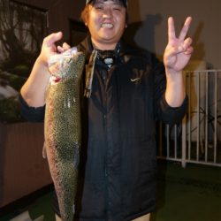 としまえんフィッシングエリア 釣果