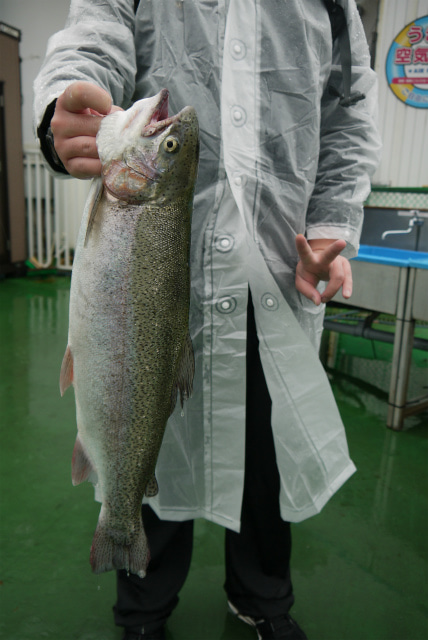 としまえんフィッシングエリア 釣果