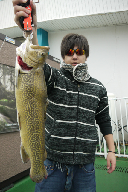 としまえんフィッシングエリア 釣果