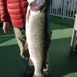 としまえんフィッシングエリア 釣果