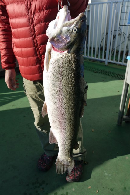 としまえんフィッシングエリア 釣果