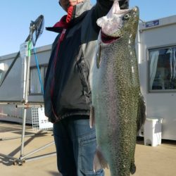 としまえんフィッシングエリア 釣果