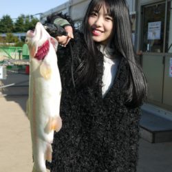 としまえんフィッシングエリア 釣果