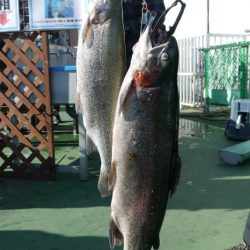 としまえんフィッシングエリア 釣果