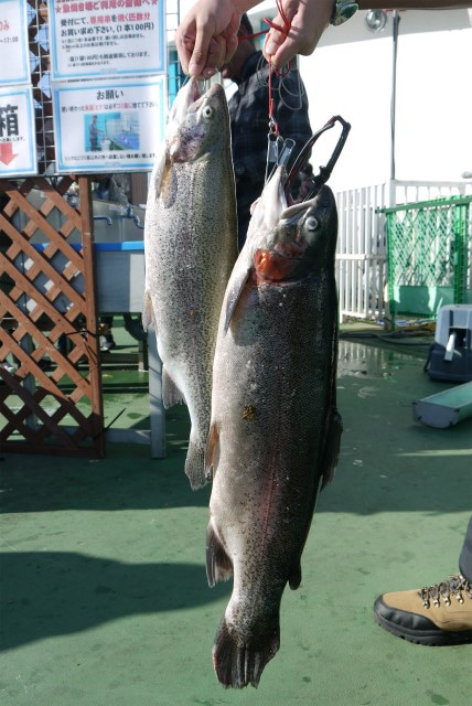 としまえんフィッシングエリア 釣果