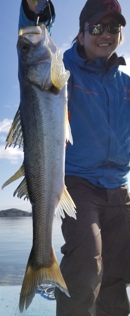 アマテラス 釣果