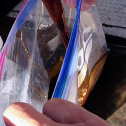 ブルースフィッシングサービス 釣果