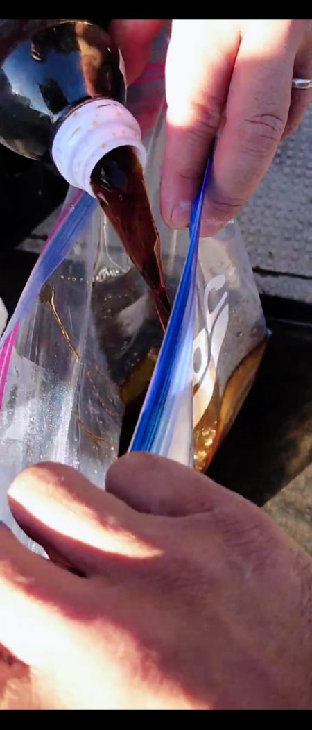 ブルースフィッシングサービス 釣果