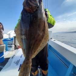 海晴丸 釣果