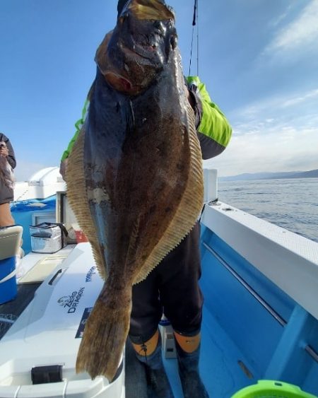 海晴丸 釣果