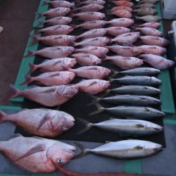 真祐丸 (しんゆうまる) 釣果