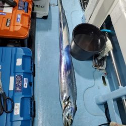 海晴丸 釣果