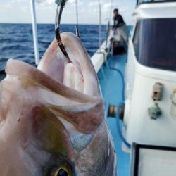 海晴丸 釣果