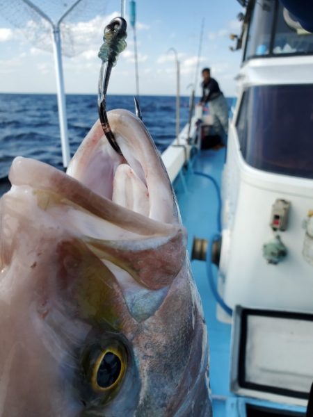 海晴丸 釣果