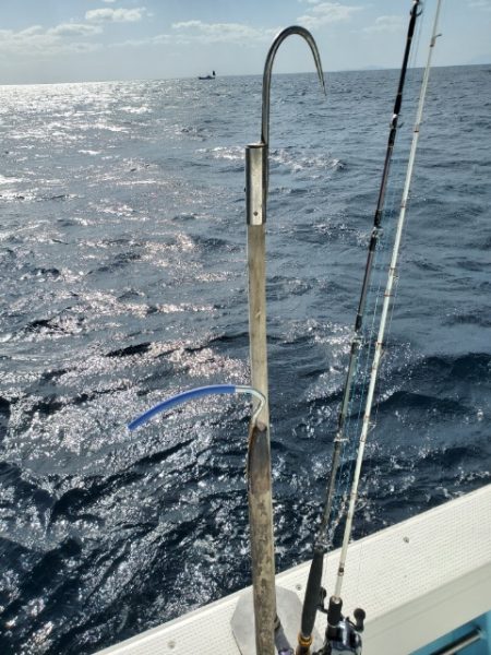 海晴丸 釣果