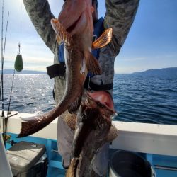 海晴丸 釣果