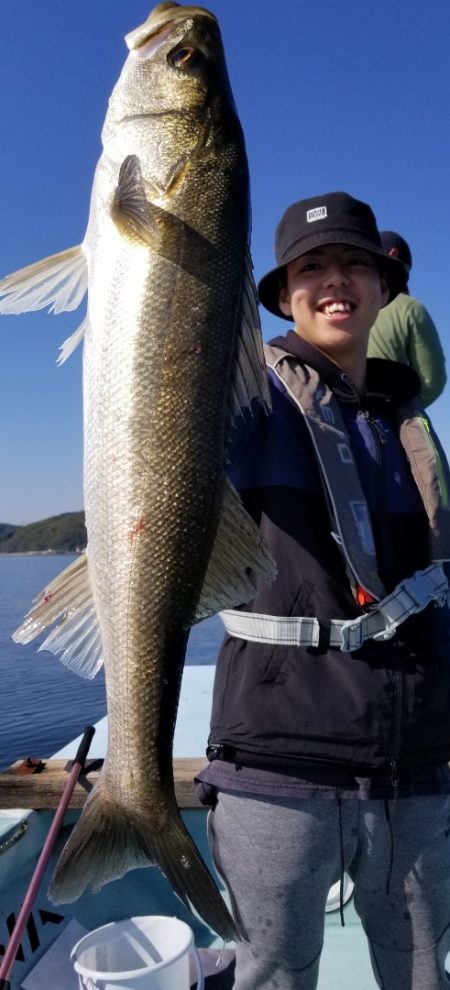 アマテラス 釣果