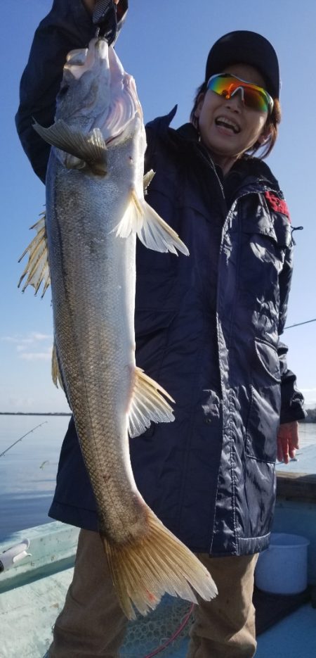 アマテラス 釣果