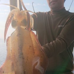 シースナイパー海龍 釣果