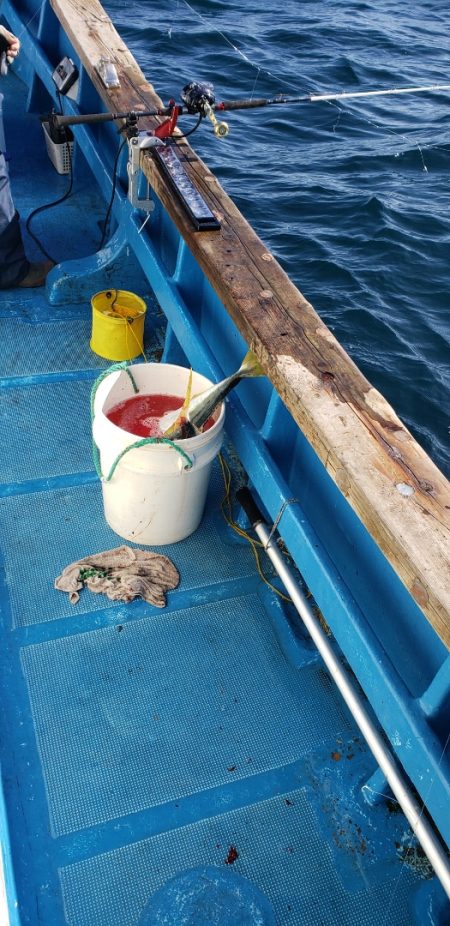 海龍丸（石川） 釣果