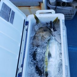 海龍丸（石川） 釣果