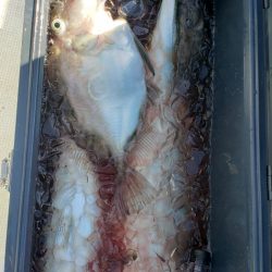 海龍丸（石川） 釣果