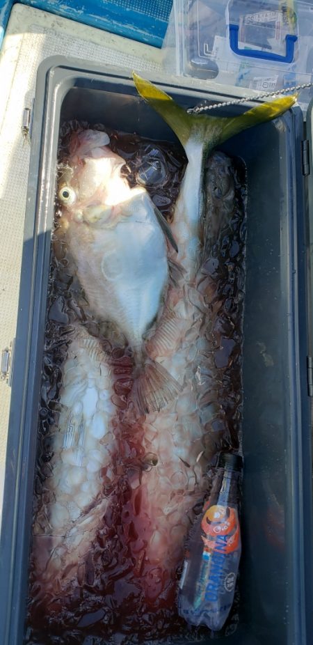 海龍丸（石川） 釣果