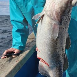 海龍丸（石川） 釣果