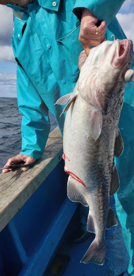 海龍丸（石川） 釣果