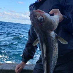 海龍丸（石川） 釣果