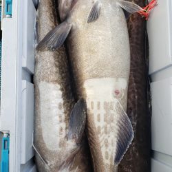 海龍丸（石川） 釣果