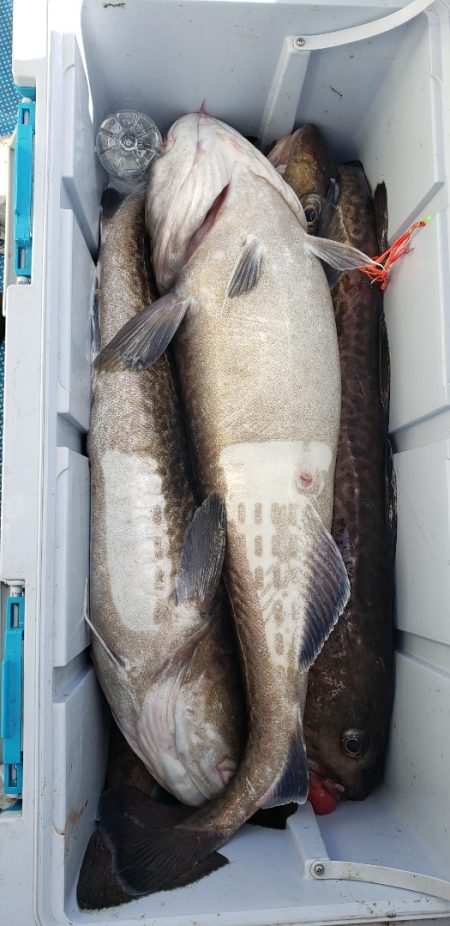 海龍丸（石川） 釣果